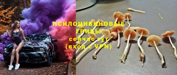 каннабис Арсеньев