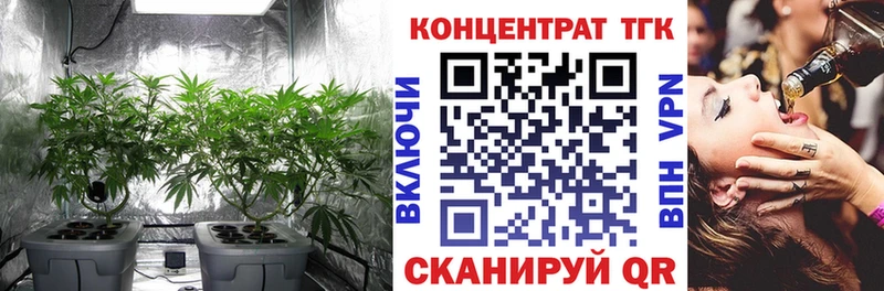 Дистиллят ТГК гашишное масло  мега ONION  Сясьстрой 