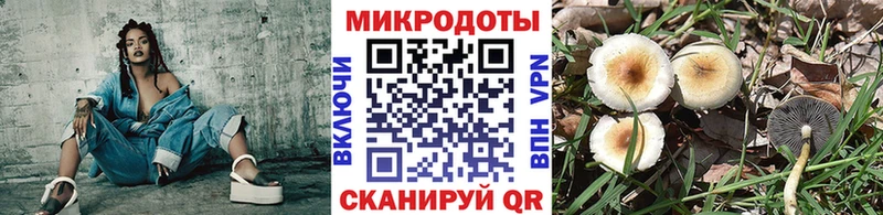 Галлюциногенные грибы ЛСД  Сясьстрой 