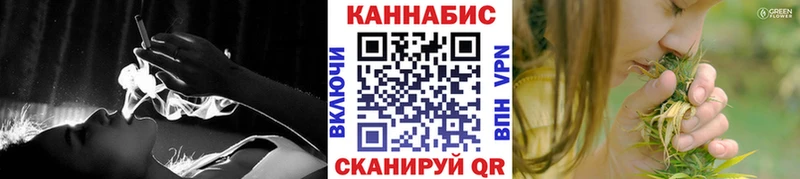 где купить наркотик  Сясьстрой  Шишки марихуана Amnesia 